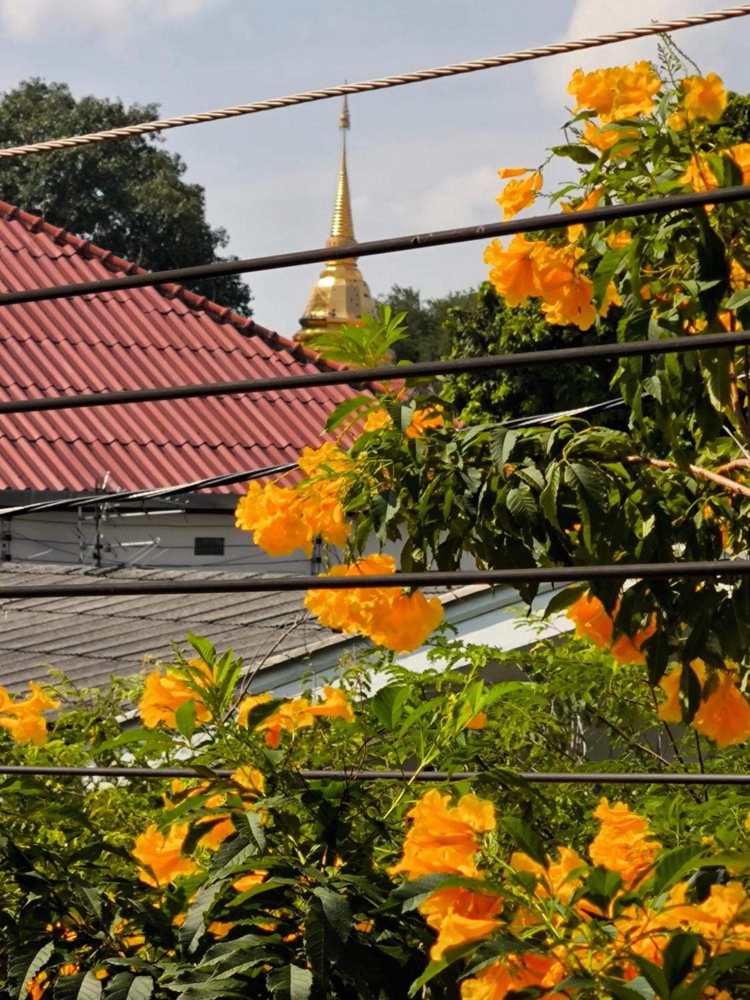 Ratchiangsaen Flora House Hotel Chiang Mai Luaran gambar